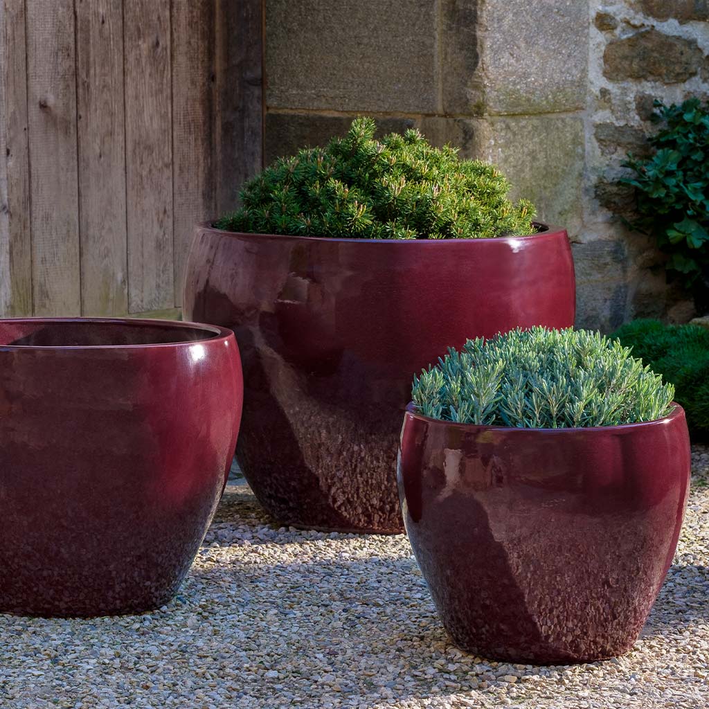 Cabachon Planter Set (terracotta In Plum)