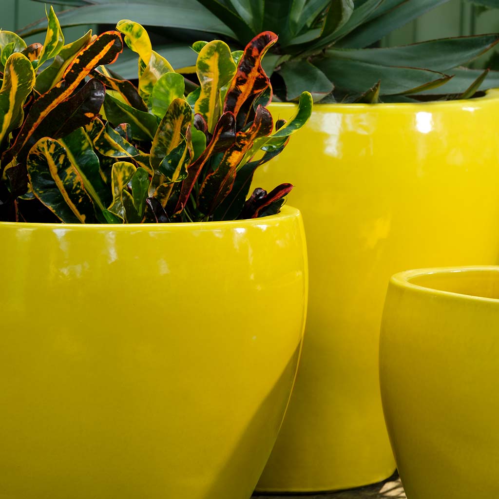 Cabachon Planter Set Detail (terracotta In Limon)