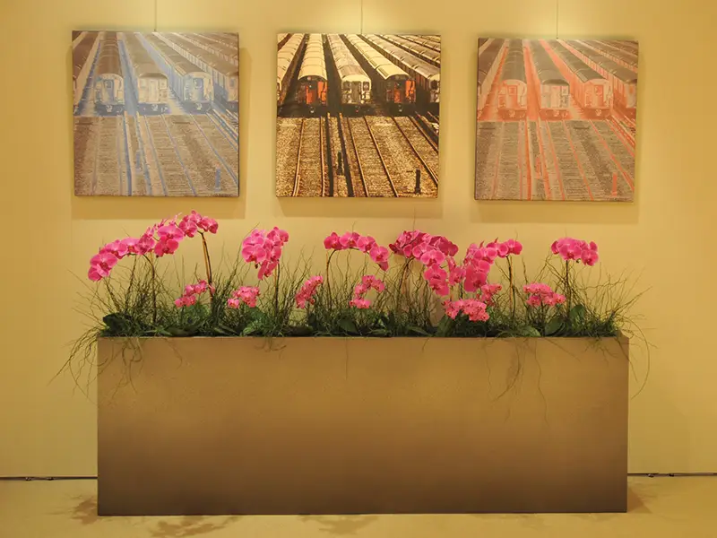 Architectural Planters planters