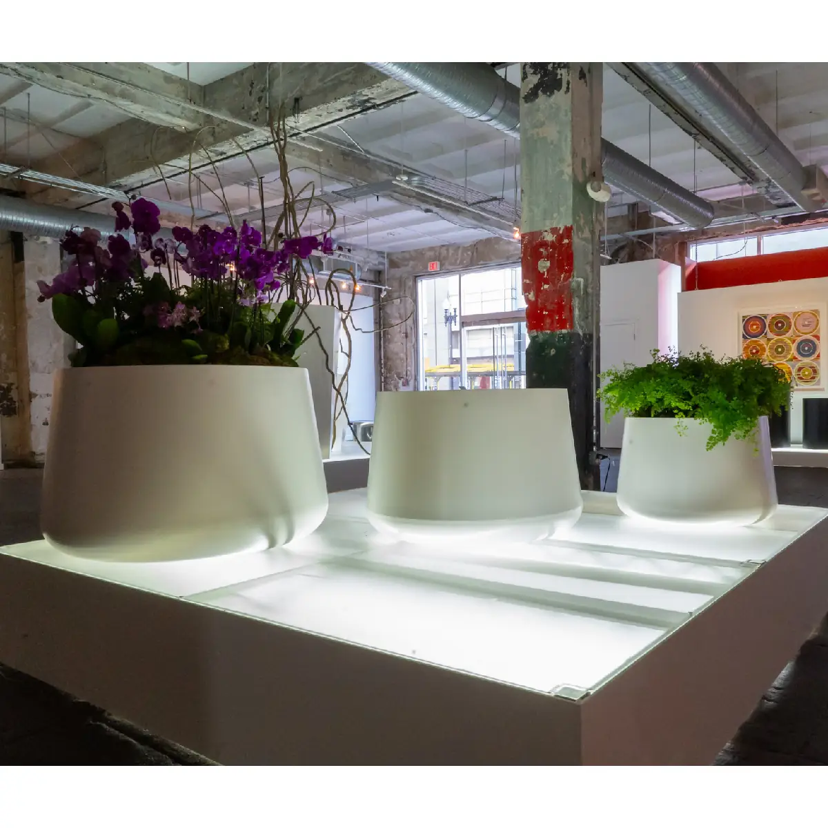 Bulb Indoors cylinder garden planter garden decor garden planters