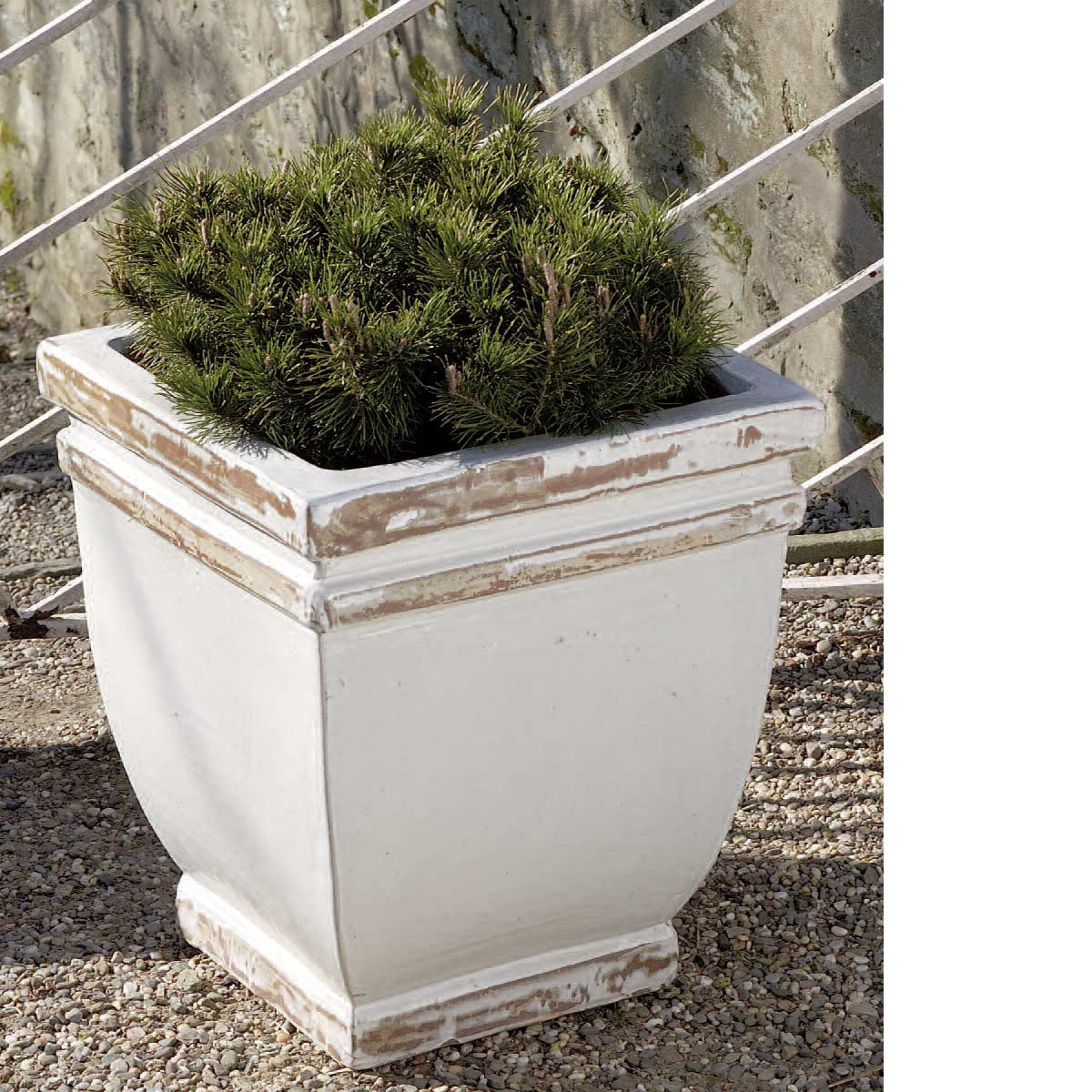 Square Rolled Rim Planter (terracotta In Antique White Glaze)