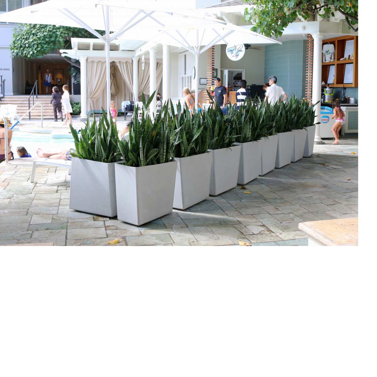 Twista Planters Material: Fiber Cement Finish: Gray