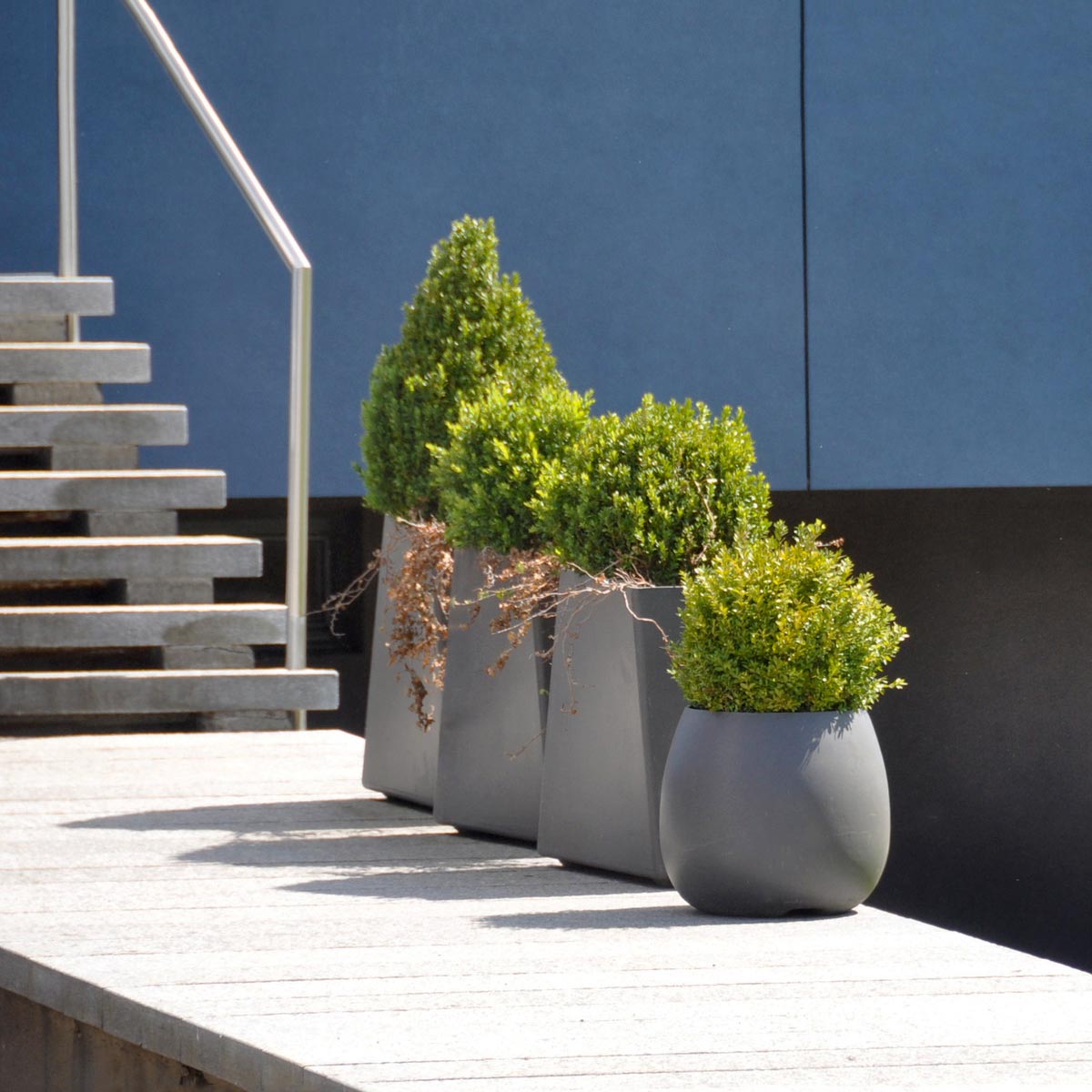 12" Twista Planters With Sumo Planter Material: Fiber Cement Finish: Anthracite