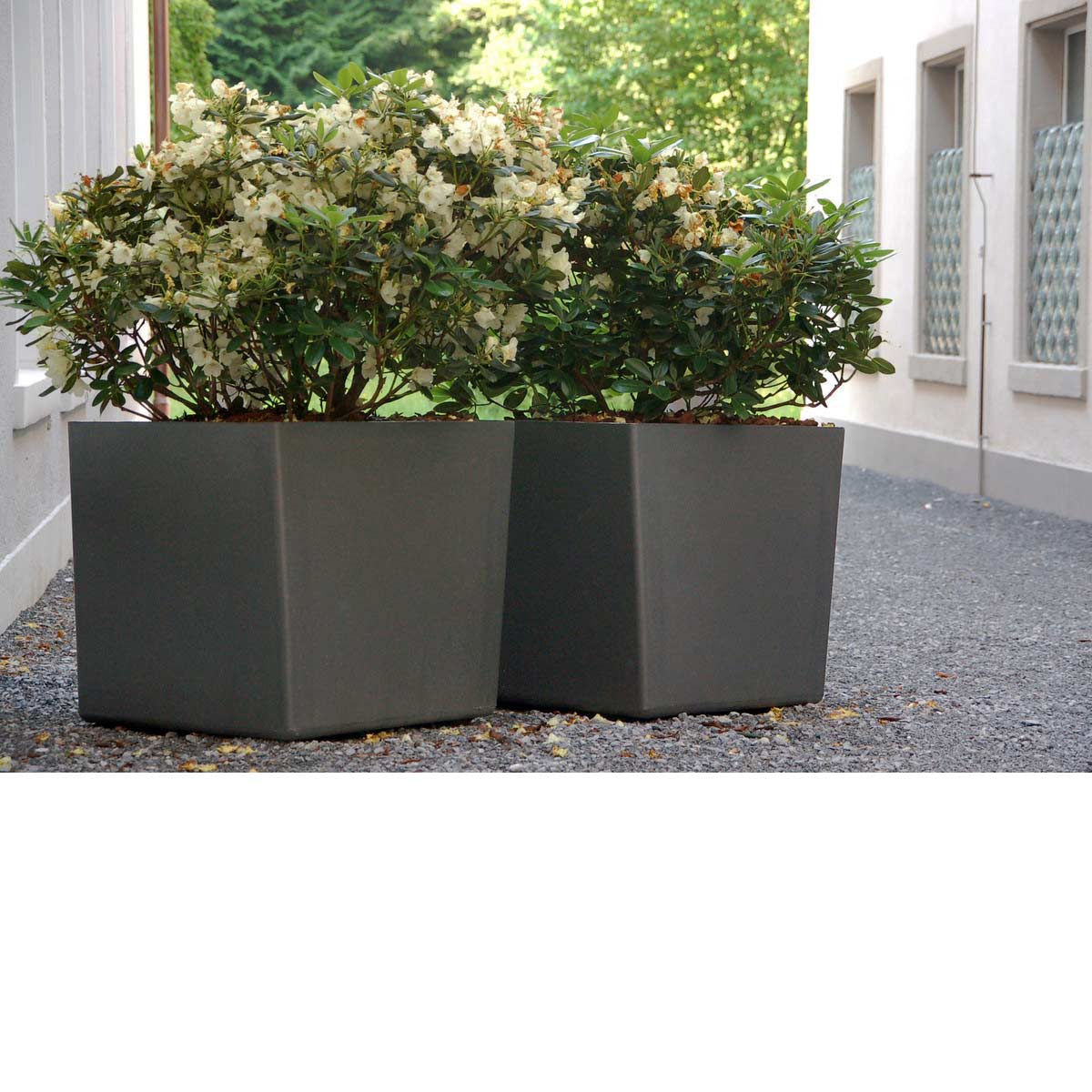 24" Twista Cube Planters Material: Fiber Cement Finish: Anthracite