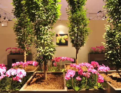 US Open – Flushing Meadows, NY