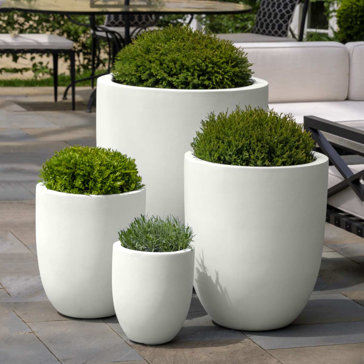 Bradford Planters 94 881 22200