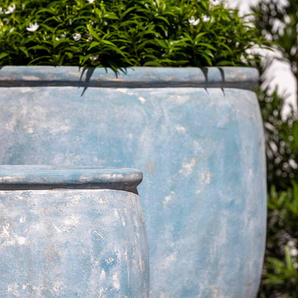 Brooke Planter Detail (Terracotta in Murano Celeste glaze)