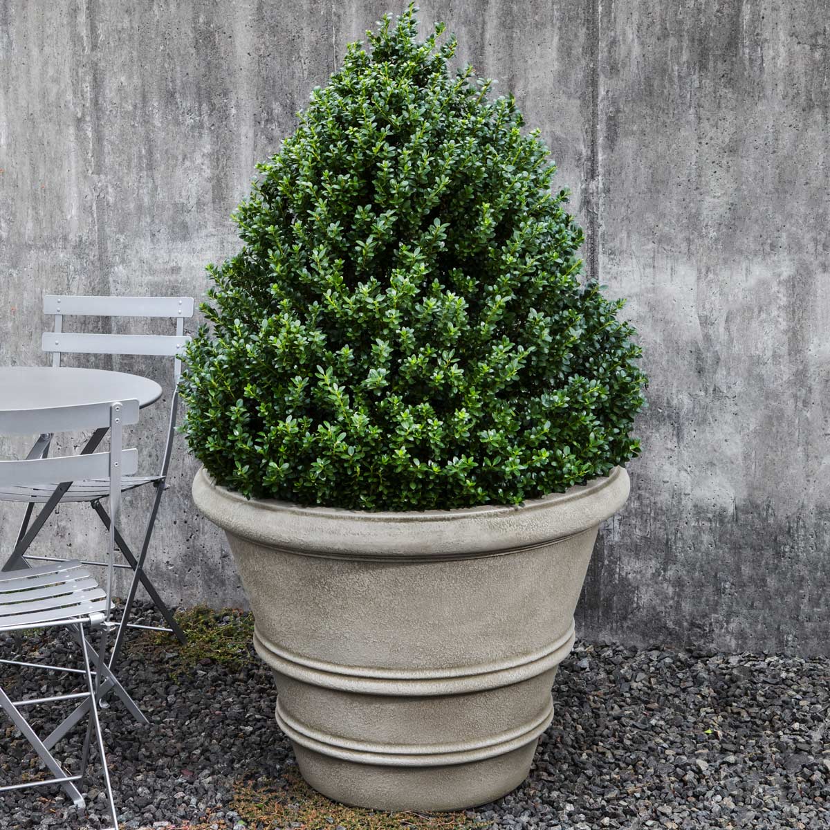 Classic Rolled Rim Planter In Verde Finish