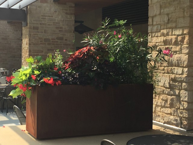 Side view of planter on a university campus