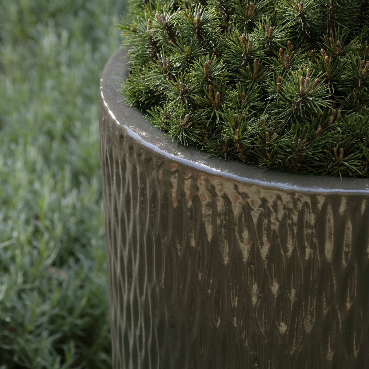 Rivulet Planter Detail (terracotta In Fog Glaze)