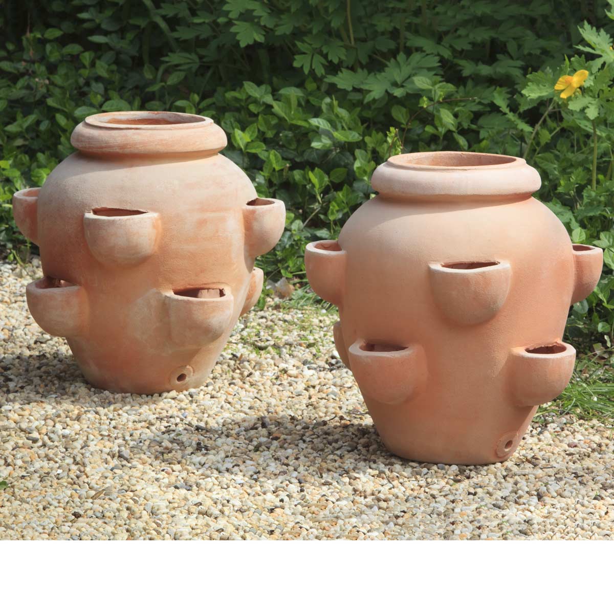 Tascandi Strawberry Jars (terracotta In Natural Finish) contemporary, terracotta, terra cotta, garden, planter